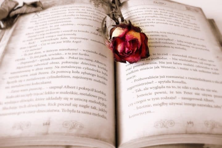 découvrez notre sélection de livres d’activités pour enfants et adultes : coloriages, jeux, quiz et exercices ludiques pour s’amuser tout en développant la créativité et l’apprentissage.