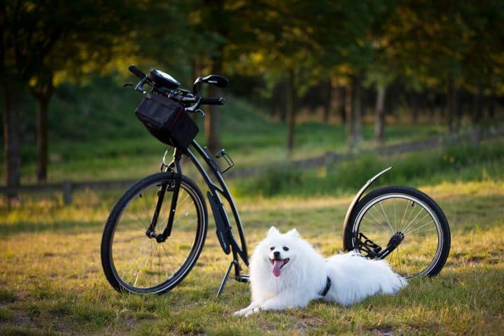 découvrez des idées d'activités pour passer un dimanche agréable, que ce soit en famille, entre amis ou en solo. inspirez-vous pour rendre vos dimanches plus divertissants et relaxants !
