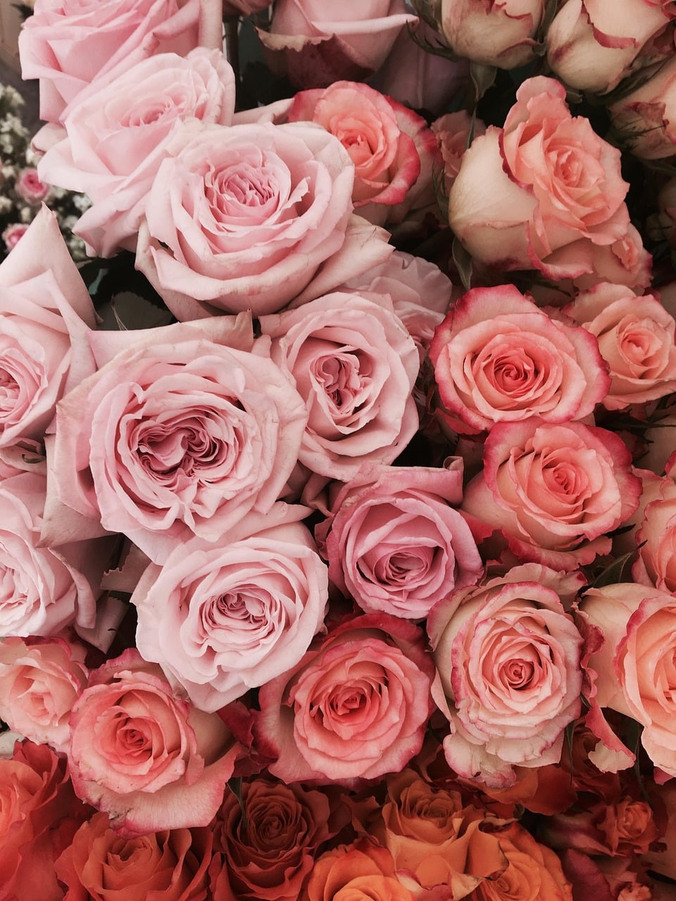 découvrez une sélection d’activités originales et amusantes pour animer votre mariage et offrir à vos invités des moments inoubliables lors de votre journée spéciale.